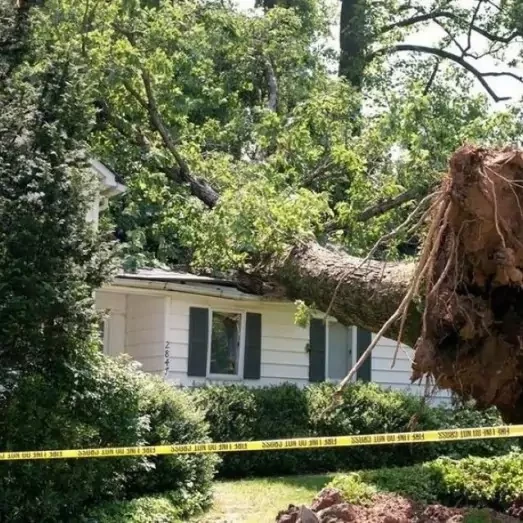 Storm & Wind Damage Repair Services in Southwest Nashville, TN